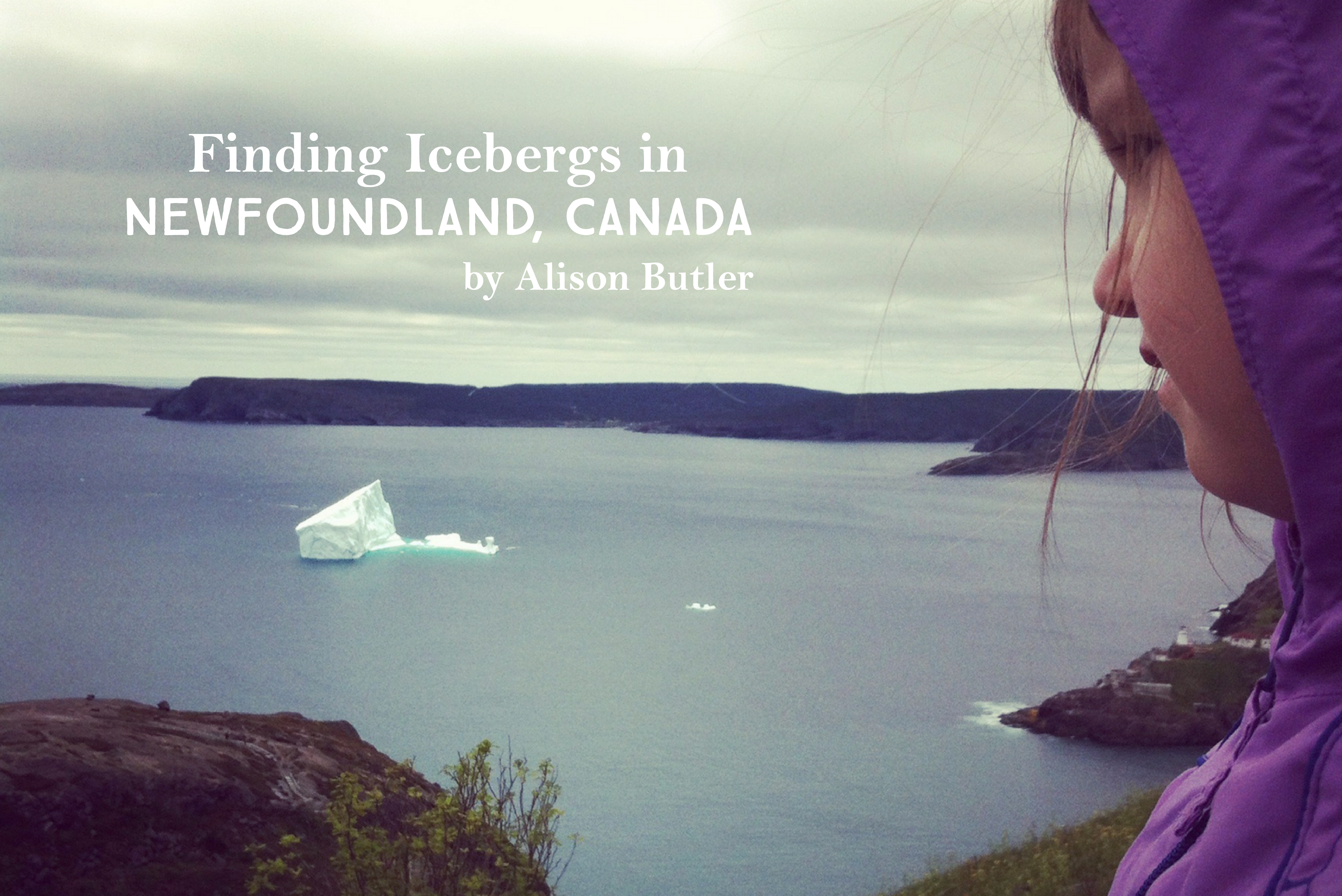 Finding Icebergs in Newfoundland